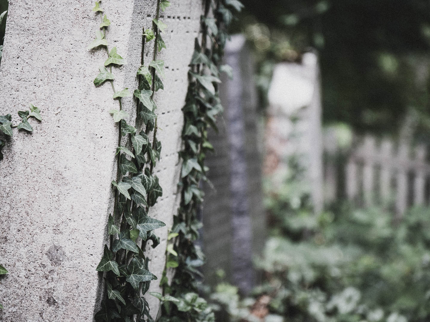Bodenfeldem Jüdischer Friedhof